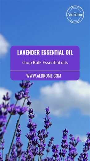 Shop Lavender and other essential oils in bulk directly from...