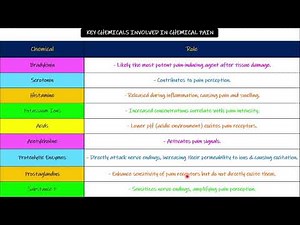 Pain due to Ischemia, Muscle spasm, Heat. Chapter 49 part 2. Guyton and Hall Physiology.