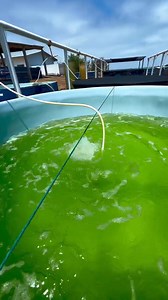 #PrefecturaDeSantaElena #PrefecturaInforma Así fue la visita de los estudiantes de la Universidad Agraria de Guayaquil a nuestro Laboratorio de Ostras 🦪 | OLON TV