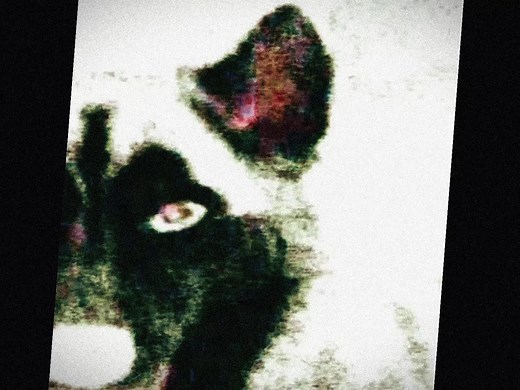 Exploring the Decline of Creepypasta Popularity
