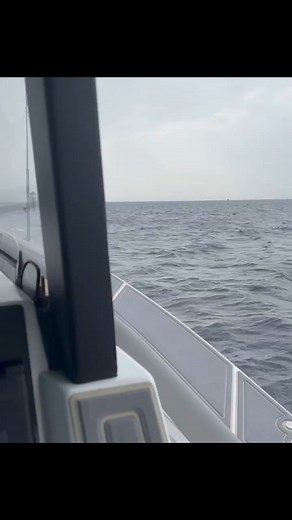 1.5K views · 279 reactions | Stormy weather on the horizon? No...