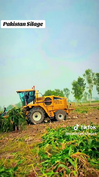 Pakistan Silage: Best Practices for 2025