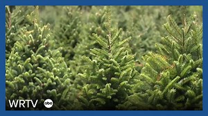 From seedling to celebration: The Stines' journey in crafting Christmas memories at Oak Hill Tree Farm