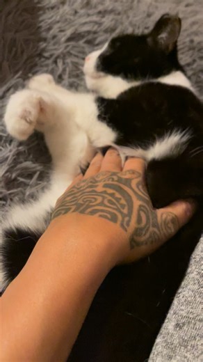 18 reactions · 5 comments | Tuxie lives in the bedroom because he...