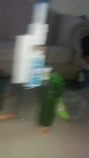 angry Birds real life game