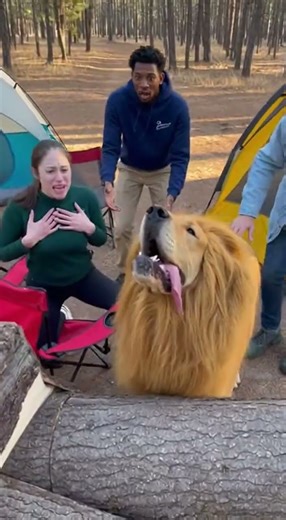 Nearly Died for THIS! 😱😂