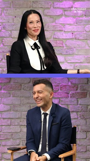 Lucy Liu shares the sweet story behind adopting her Chiweenie. #usatodaypets | USA TODAY