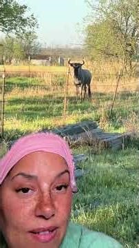 She Walked Outside Recording THIS…