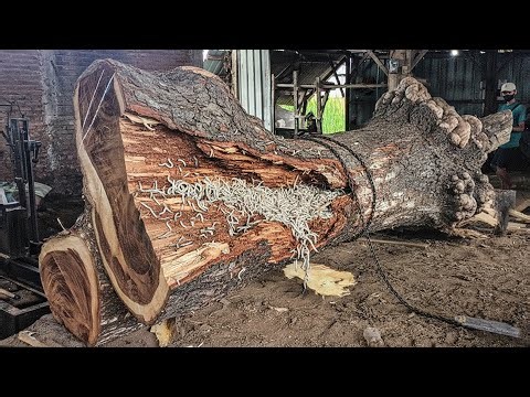 Giant Trembesi Monster Attack ‼ The Most Terrifying Sawmill Scene Ever
