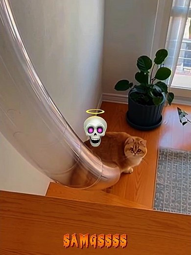 Repeat it again 🕸💀 #crazyteam