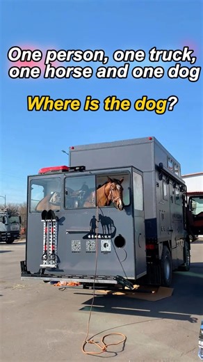 Pickup Camper Backpack-box on Instagram: "Pop-up Pickup Camper All-aluminum body Ford F-150 Toyota Hilux Tundra Backpack Box off-road RV Made in China Innaturemanufacturer#RV # #crosscountryRV #Rvtour #RVathome #rvcamping #AdjustableroofRV #heavytruckRV #offroadrv"