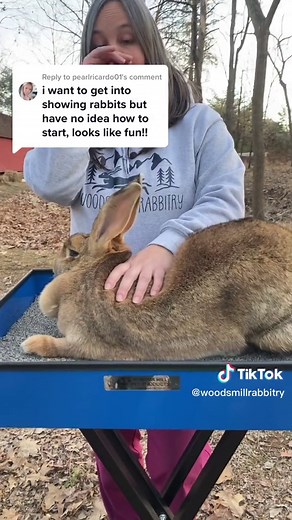 Showing Rabbits: A Beginner's Guide to Rabbit Shows