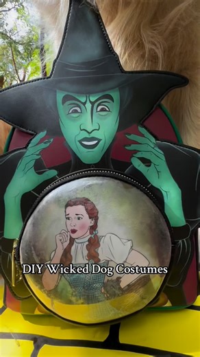 Part 2 Last minute DIY Dog costumes ✨ Glinda: Amazon pink dress and Petco dog crown 👑 Elphaba: Harry Potter costume glasses with an elastic tie and witch hat with elastic tie 💚 Bag from @loungefly | Pancake the Golden