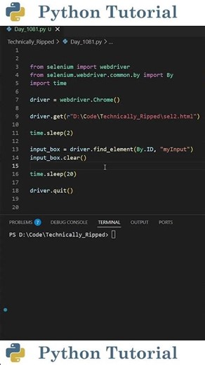 Clear Input Fields in Selenium Fast | Python Tutorial