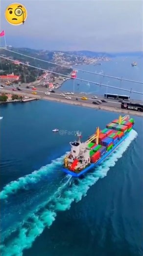 World’s largest container ship😮#shorts#shortsfeed #youtubeshorts