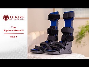 Day 1: Treatment Protocol