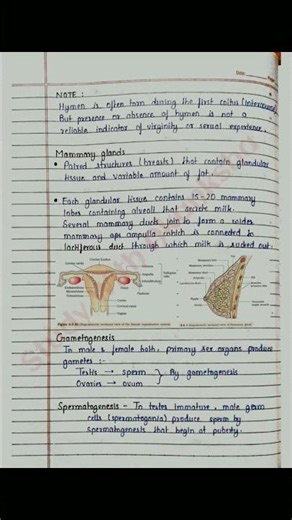 Class 12 Biology | Human reproduction handwritten notes | CBSE | JEE | NEET | NCERT | BSEB | NOTES