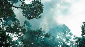 Operation Mekong (2016)