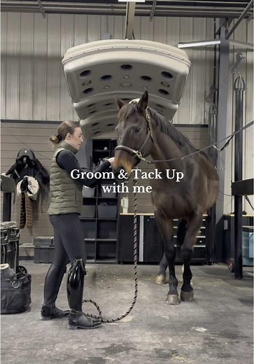 Grooming and Tacking Up Horses: A Step-by-Step Guide