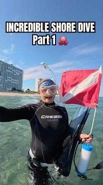 what an INCREDIBLE dive 🤯 make sure to come back for part 2 #ocean #diving #underwater