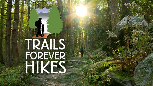 6.4K views · 54 reactions | Take a hike and help restore the most loved trails in the Smokies. The Forever Trails Hikes program offers expert guided hikes twice a month now through October 2024. It's just $25 per hike and all proceeds go to Trails Forever. Space is limited, so check out the schedule and register at https://friendsofthesmokies.org/hike-with-trails-forever/ | Friends of Great Smoky Mountains National Park | Facebook