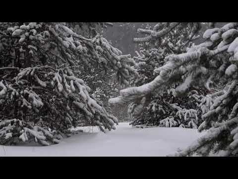 Nap , Relaxing , Soothing , Soft Piano V.2 - 🥱💤💖 20 Minute - Short Play