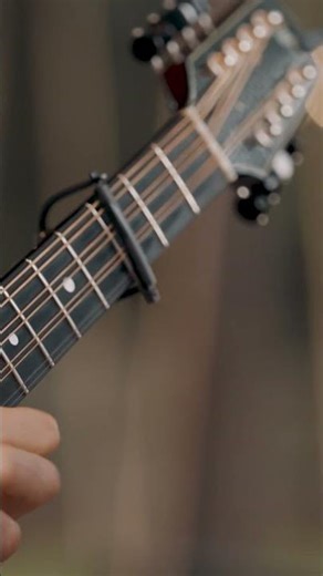 This octave mandolin hits different in the rain #Mandolin #Americana #eartrumpetlabs