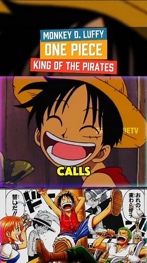 Monkey D. Luffy: The King of the Pirates 🍖🏴‍☠️👒 One Piece Recap