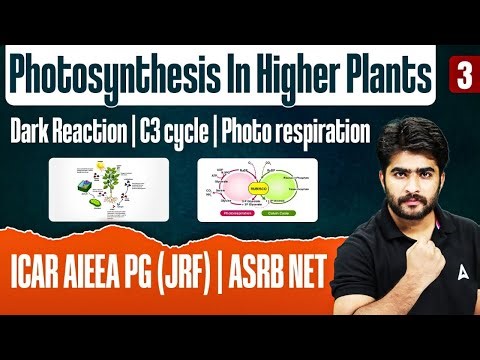 ICAR JRF/ASRB NET | Photosynthesis In Higher Plants | Dark Reaction | C3 Cycle | Photo Respiration
