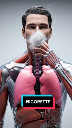 Effective Strategies to Quit Smoking and Vaping