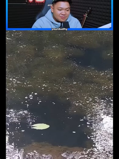 Video Lucu Reaksi Ngakak yang Bikin Mood Naik