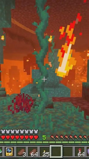 Nether Mod makes it scarier?!