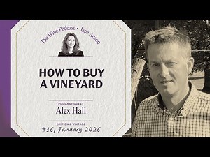 How to Buy a Vineyard - Jane Anson The Wine Podcast E 16