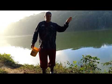 While fishing for carp at the old Hawaii club, only the guys stopped by.