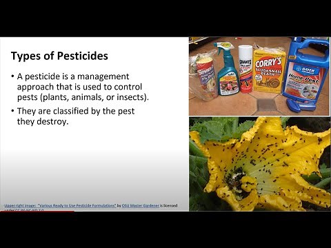 Intro To Agriculture Pesticides And Herbicides