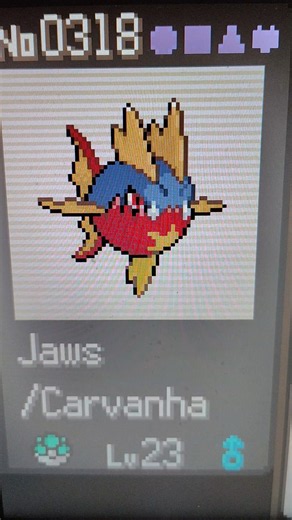 Faith's Pokémon SoulGold Team Showcase: Part 4