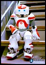Nao, An Emotional Robot