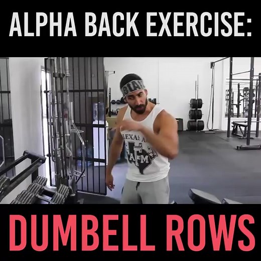 Mount dat rack. #gym #exercise #weightlifting #fitness | Bro Science