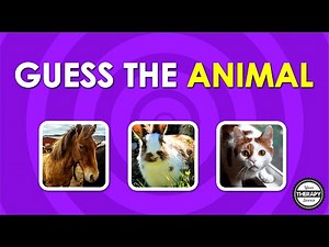 Visual Perceptual Game