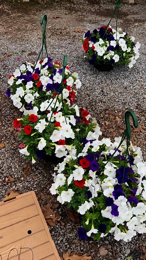 Keith Martin on Reels