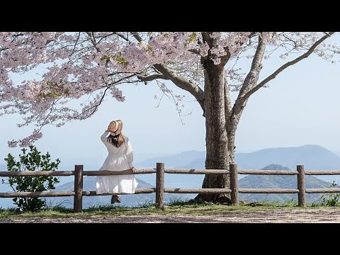 明日、春が来たら - 松たか子（フル）