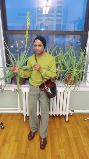 Joseph Carr on Reels