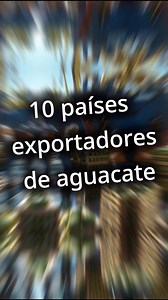 🥑 10 países exportadores de aguacate a nivel mundial | Secretos y Curiosidades de México