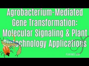 Agrobacterium-Mediated Gene Transformation: Molecular Signaling & Plant Biotechnology Applications