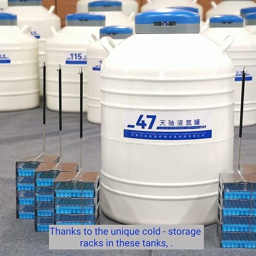 What's Inside a Modern Lab Cryogenic Dewar?