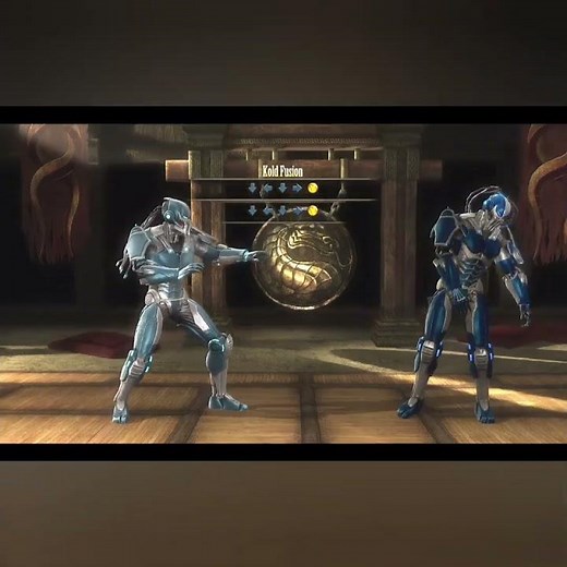 Cyber sub-zero fatality,mortal kombat 9.