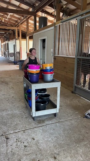 Harry Potter: Anything Off the Trolley Dears