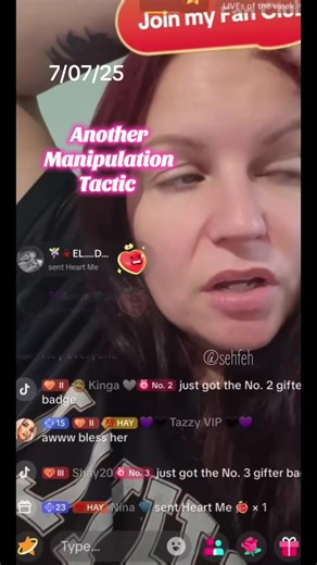 Unraveling Manipulation Tactics in Hayley's Story