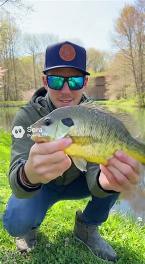Springtime bluegill fishing