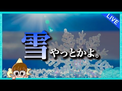 【初見さん超大歓迎!!】寒波襲来‼️ツルツル路面の札幌を歩きまくる‼️‼️ #北海道 #生配信 #LIVE